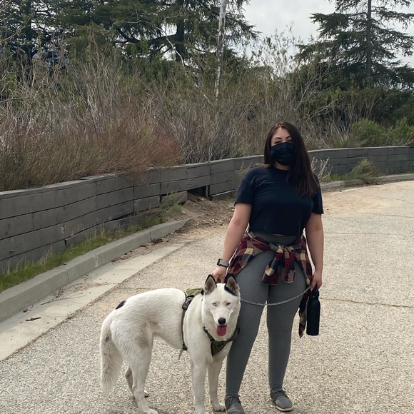 Meet your Posher, Desiree - Picture 9 of 10